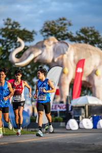 BIB: 
                            <button type="button" onclick="openModal(26541168)" class="btn btn-primary btn-sm float-right btn-popup" data-toggle="modal" data-target=".modal-high-quality">
                        <i class="fas fa-shopping-cart"></i> Add to Cart
                    </button>
                                            <button type="button" onclick="isThisMe(26541168, true)" class="btn btn-success btn-sm float-right btn-popup btn-isme hidden" data-toggle="tooltip" data-placement="bottom" title="นี่คือรูปของคุณใช่ไหม คลิกที่นี่เพื่อเอาเข้าอัลบั้ม">
                        <i class="fas fa-plus"></i> Add to album
                    </button>
                    <button type="button" onclick="isThisMe(26541168, false)" class="btn btn-warning btn-sm float-right btn-popup btn-isnotme hidden">
                        <i class="fas fa-ban"></i> Remove from album
                    </button>